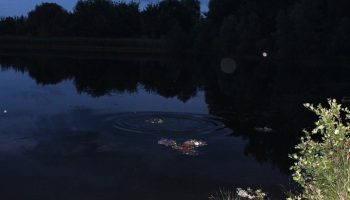 15-min