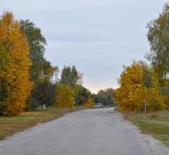 Фотогалерея