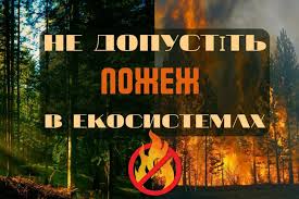 Лісова пожежа - це суворе явище