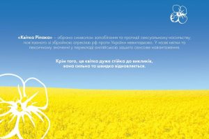 19 червня: Міжнародний день боротьби з сексуальним насильством в умовах конфлікту