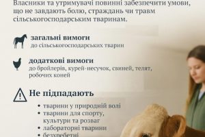 Вимоги до благополуччя сільськогосподарських тварин під час їх утримання