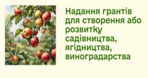 Прийом заяв на отримання гранту