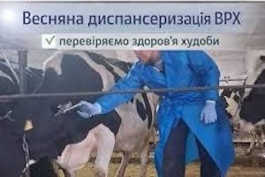 Весняна диспансеризація домашніх тварин