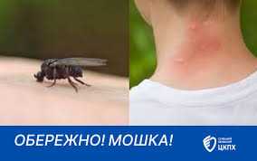 Обережно: мошка! Пам’ятка для населення Обережно: мошка! Пам’ятка для населення